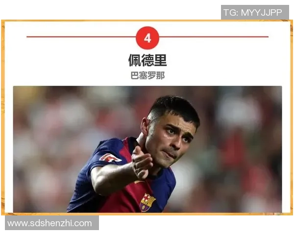 美洲十大足球球星排行榜分析与历史地位探讨