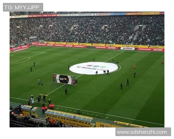 足球球星卡的设计特点与收藏价值解析：让我们一起探索其独特魅力